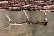 Dzi� trzeba mie� oczy otwarte, wszystko mo�e si� zdarzy�.