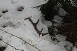 11.04.2013r
Dziesi�tak, tak sobie le�a�
