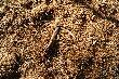 Wr�ci�em si� na podsyp i troch� pochodzi�em po nim a� poczu�em co� twardego pod nogami i si� okaza�o �e jest tam schowany nast�pny zrzut,to ju� 22-drugi w tym sezonie