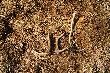 A tu ju� razem z jednego podsypu a my�la�em �e wr�c� na pusto,pozdro dla wytrwa�ych 