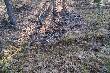 16,04,13r Ci�ko wypatrzony 8-smak