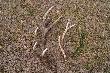 19,04,13r Dzisiejszy zbi�r