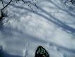 Pi�kna wiosna na Dalekiej P�nocy!!
Dla por�wnania tropy jarz�bk�w: maj� �yse palce i pi�ty..