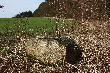 prezentacja :-) pierwsze promienie s�o�ca
