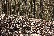 22.04.13 dziesi�tak druga tyka w tym dniu 