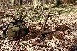 tak mo�na wraca� do domu dzi� tata ma 3 ale i tak z wynikiem 6 tyk mnie z 8 nie dogoni� :-) na razie