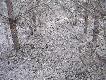 liczy�em na troch� wi�ksze zrzuty niestety tylko to dzi� ujrza�em