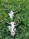 te dwa wie�ce oprawione w dniu 24.04.13