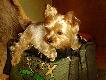 Torba spakowana :-) Mo�na jecha� na �owy:-)
