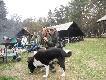 No i jest pono� najpi�kniejsze zdj�cie tego Z�ajowiska ;)