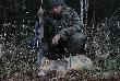 Lis nie wygl�dny ale wst�pny obmiar d�oni� wskaza� na br�zowy medal  , obgotuj� wysusz�  i dam zna� co i jak....  ok ?