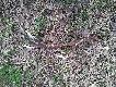 30.04.2013.czternastak 34 �wie�y