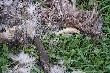 robota ps�w