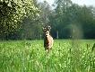 Zapozowa� =]