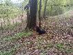 M�j nowy nabytek Riki :) 