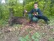 W moje 19-ste urodziny m�j kopov znajduje mojemu koledze swojego pierwszego postrza�ka  bez kropli farby. Dzik przebieg� od zestrza�u ok. 400 m. po strzale na mi�kkie i zosta� na skraju lasu w w�wozie.  