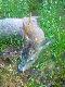 Wybrane zdjcia sezonu 2013/2014
Wybrane zdjcia sezonu 2013/2014
