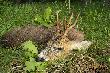 B�dzie co wspomina� po latach.