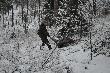 koniec historii