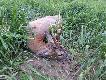 �wi�ty Hubert postanowi� obdarowa� mnie sp�nionym prezentem urodzinowym.