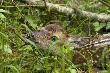 Udawa� �e mnie nie widzi, a i ja nie nalega�em by mnie zobaczy� :-)D.B