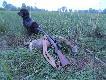... w zachodz�cym s�o�cu m�j rogacz spisa� testament na podmok�ych ��kach polnego terenu...