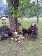 Chyb, Laszka, Finka, drugie z rz�du dru�ynowe zwyci�stwo, MKD Manowo  2013