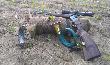Pierwszy rogacz sezonu. Odpu�ci�em wiele innych, warto by�o. 