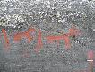 Foto 144: Ryty naskalne: Nie bardzo wiem, co one przedstawiaj�.. Ale na pewno co� wa�nego dla pradawnych �owc�w..