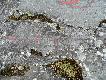 Foto 146: Ryty naskalne: Nie wiem, czy to w��cznia, czy wios�o, ale obok by�a scena z polowania na ody�ca..