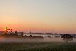 Dzisiejszy poranek w  �owisku. 30.05.213