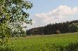 Spacer po polu
Krtki czwartkowy spacer po okolicznych polach i mie spotkania