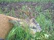 01.06.2013r.
prezent na dzie� dziecka...
