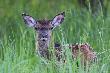 02-06-2013. Wyro�ni�ty