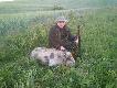 P�dzi� z lasu jak szalony ,przed �ytem na chwil� si� zatrzyma� i tak zosta� ,odleg�o�� 130m cal 30-06 pocisk Geko Teilmantel 11,0g