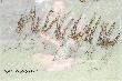 Sezon 2011/12 by� jak do tej pory najobfitszy w rogacze...
