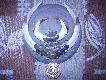 Or� ody�ca
Odyniec  strzelony przez mojego tate.......wa��cy 147kg........or�z wyceniono na 111pkt (br�zowy medal)