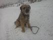 Troch� si� Borderek zm�czy�