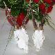 Dwa Rogacze! Zlewej pi�cioletni wid�ak regularny 21 kg. z prawej o�mioletni my�kus 14 kg. Jakie to dysproporcje w�r�d saren mog� wyst�powa�...
(R�nica znacz�ca, na �ywo wr�cz pora�aj�ca)