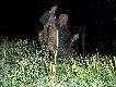 7 lisek ,drugi tego wieczoru...Darz B�r..