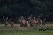Nocne zdj�cie.