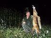 8 lisek w tym sezonie.Strza� z 20 m-�rutem ....Darz B�r kemor21.....