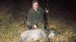 26-07 -13 o godz 21.15 przyszed� na �ciernisko a �w. Hubert pozwoli� mi go pozyska�.