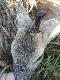 obw.polny 198,waga 15 kg....