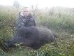Kolega od 2 tyg zaprasza� mnie na polowanie, w koncu zebra�em sie w sobie o 4.00 byli�my w �owisku, pod luf� mia�em 3 pi�kne rogacze, ale w duchu co� mi m�wi�o bym nie strzela�, o 5.25 w uprawie gryki pojawi�a sie �ania i ciele, zerowa�y do�� nie spokojnie, po chwili ukaza� sie On. podszed� najbli�ej na 180m i zmierza� w kierunku zaro�li, chwyci�em go w krzy� i poci�gn��em za spust, widzia�em jak kula tnie lekk� mg�e, po czym godzi dzika na sp�nion� komore,naci�gn��sie jak spr�yna i tak te� wystrzeli� przed siebie, pad�y jeszcze 2 celne strza�y po kt�rych dzik zwali� sie na ziemie jakie� 230m ode mnie, tarcza zegarka pokaza�a 5.45. przez p� godziny r�ce mi sie jeszcze trz�s�y. waga 128kg or� zaledwie 14cm. Ale prze�ycie utkwi mi w pami�ci do ostatnich dni. 