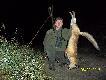 Godzine p�niej (13) lisek by� bli�ej,wi�c strza� by� �rutowy...DB kemor21..