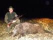 Odyniec strzelony na ksi�ycu.
Waga na czysto 114 kg.
Darz B�r.