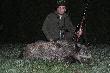 dzik strzelony wczoraj o 20.30  waga w skupie 69.5kg ody�czyk wyciagniety z watachy