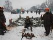 Wyjazd na zajaczki i bazanty. Moj pierwszy kot i cztery koguty ;) Zostalem Krolem Polowania na bazanty!
Po mojej lewej ojczulek, a po prawej wujek.