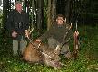 Pierwszy byk
Johannes ze swoim pierwszym bykiem. Regularny dwunastak, wiek 11-12 lat, waga wieca 6,5kg, waga tuszy 172kg. Darz br! 